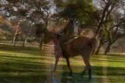 Jeff Stryker Country nail