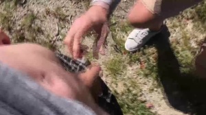 guys In Public 5 – Hike - ace poke