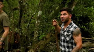 The Everglades - Vadim darksome and Luis Rubi American pound