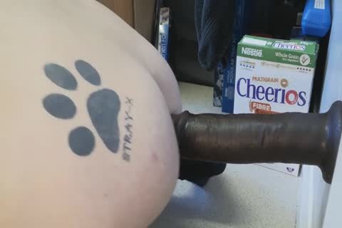 David Anderson Manchester Sunday enjoyment Day Gaping