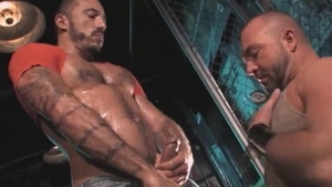 Mature need plowing hard