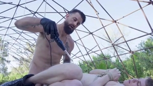 Anything It Takes