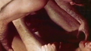 Falcon Studios: Bob and Davy's Wild Anal Escapade