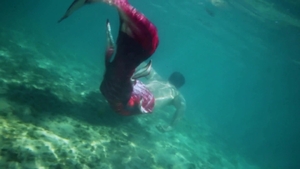 Men: Beach Boner Boys and Shark Bites