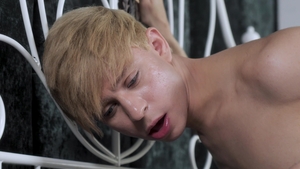 Daniel's Ultimate Dilemma in Love and Lust